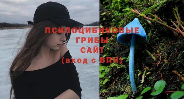 mdpv Алексеевка