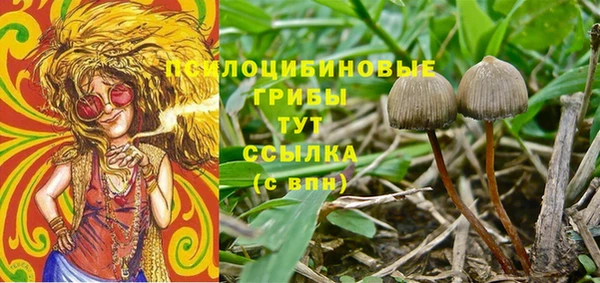 ПСИЛОЦИБИНОВЫЕ ГРИБЫ Снежинск