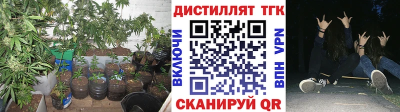 ТГК вейп Хотьково